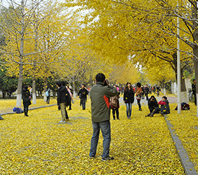 PG电子客户端下载风采展示三